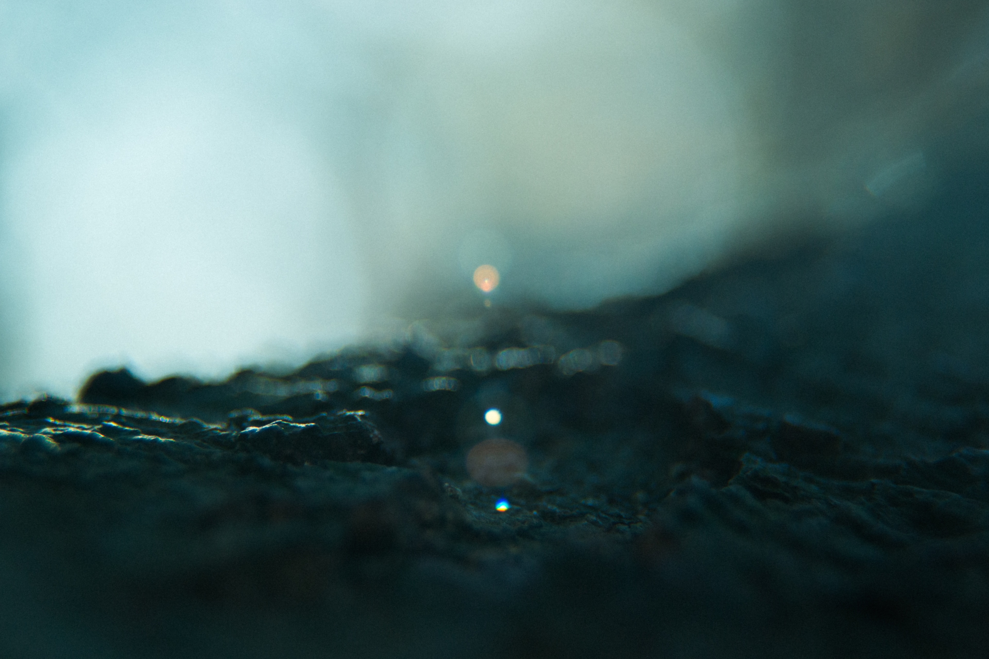 Gallery cover image